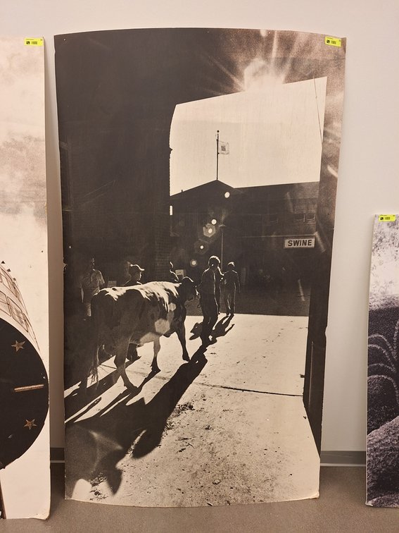 Vintage MN State Fair Photo on Heavy Stock, 42"x72"