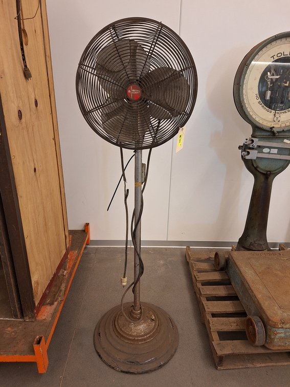 Dayton Floor Fan, 70" Tall
