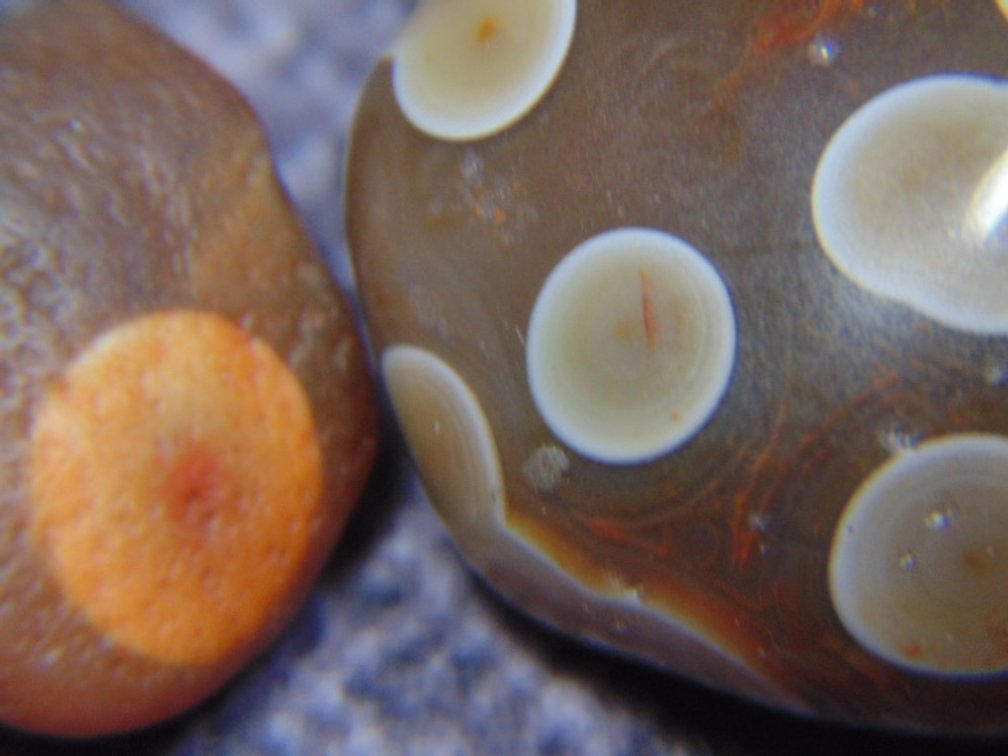A pair of Lake Superior Agates with fortification and eyes, one is polished and one is rough, .7 ozs