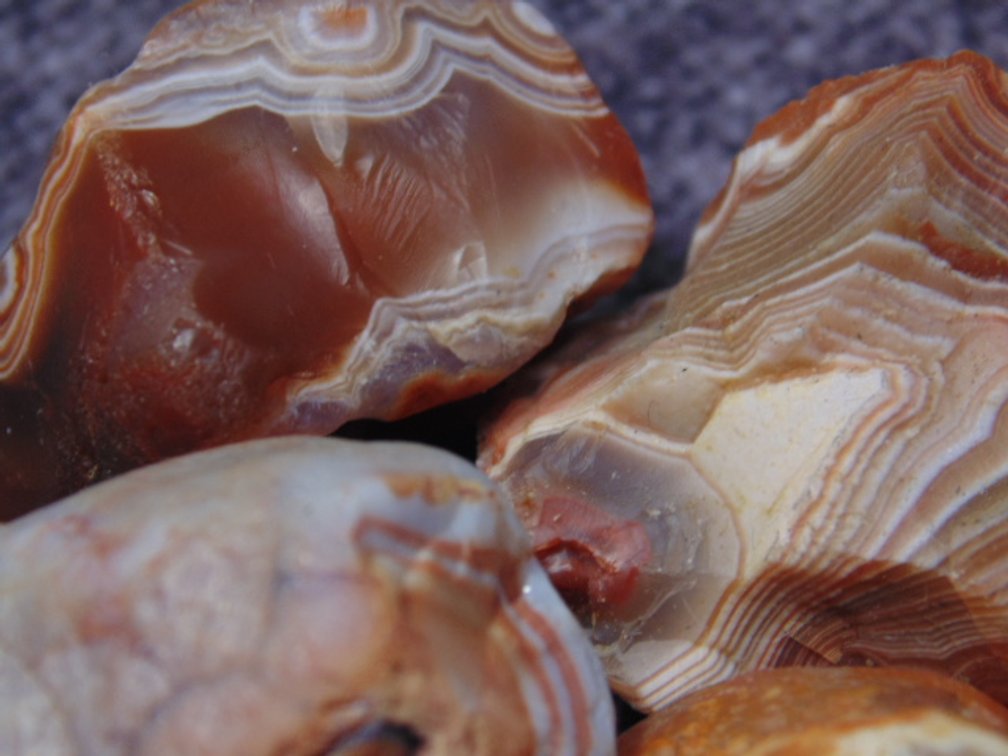 Four Lake Superior Agates with eyes, 2.7 ozs