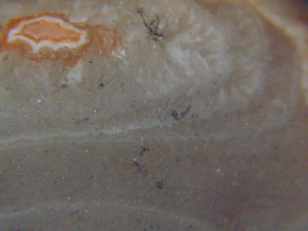 A  3 oz Lake Superior Floater Agate