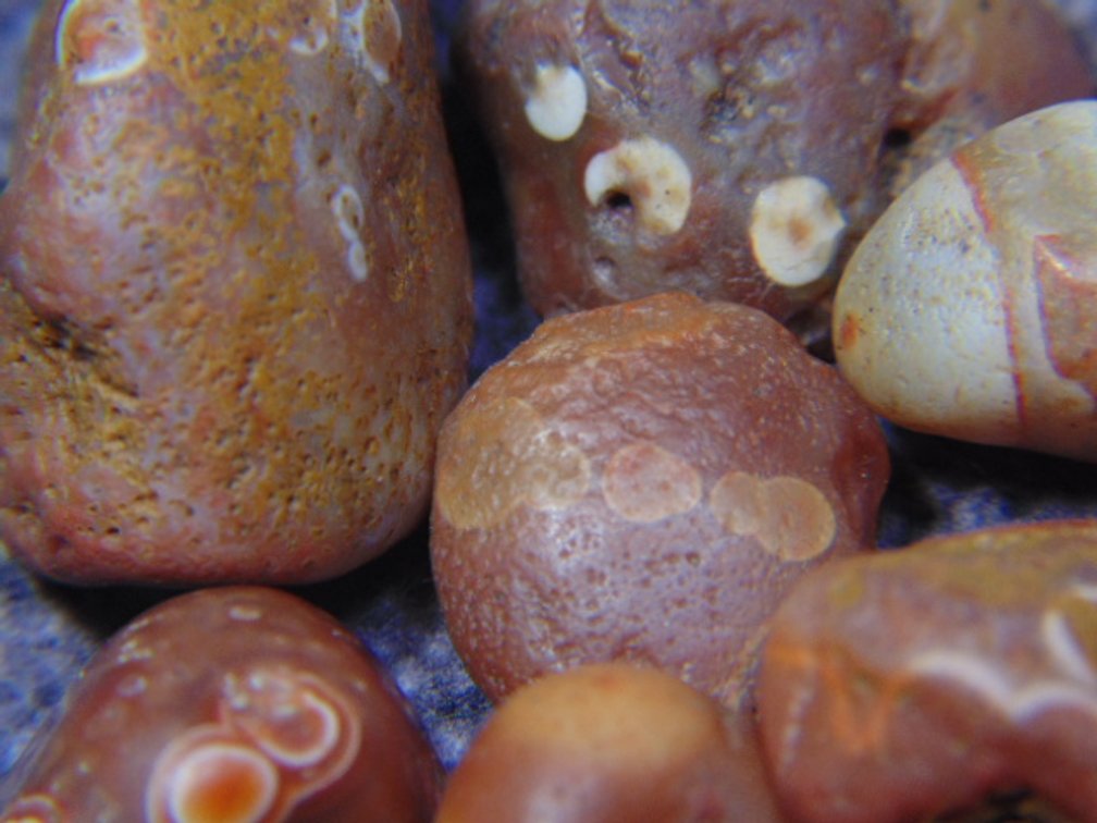 Ten Lake Superior Eye Agates, 2 ozs
