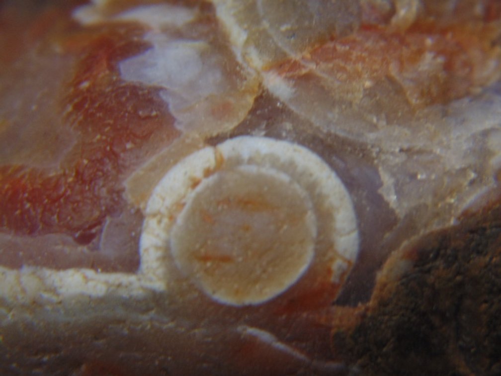 A 3.7 oz Lake Superior Agate with banding and eyes