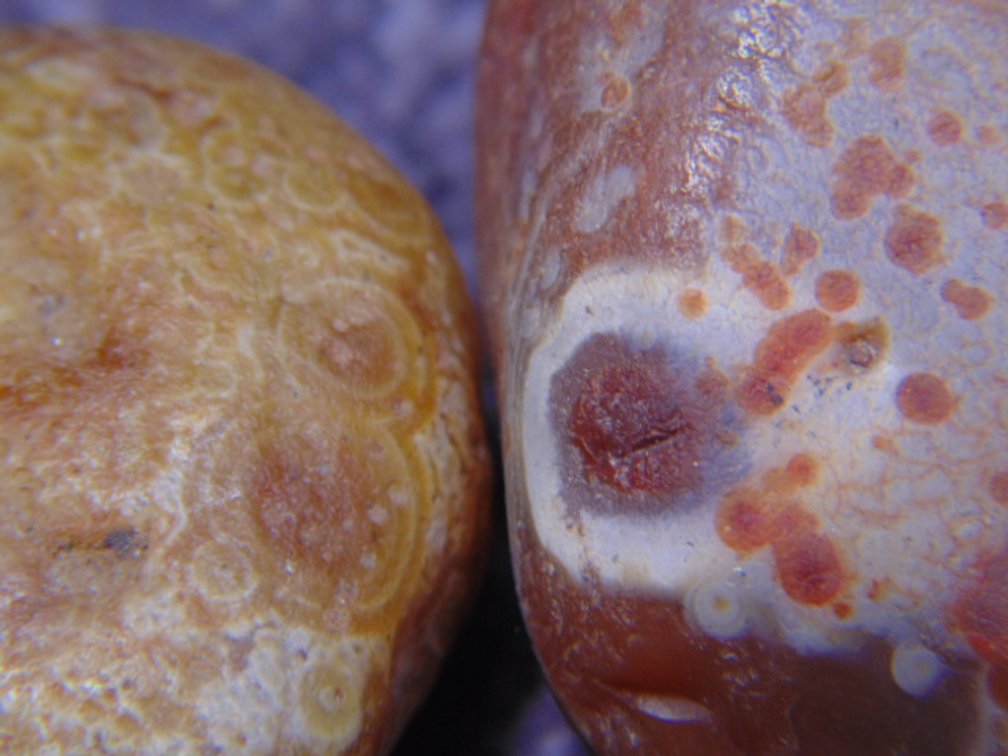 A pair of Lake Superior Eye Agates, 3 ozs