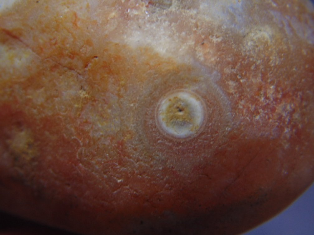 A 4 oz Lake Superior Agate with a nice eye