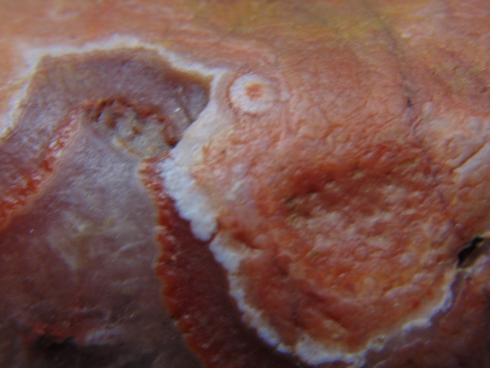 A 5 oz Lake Superior Agate with banding and eyes