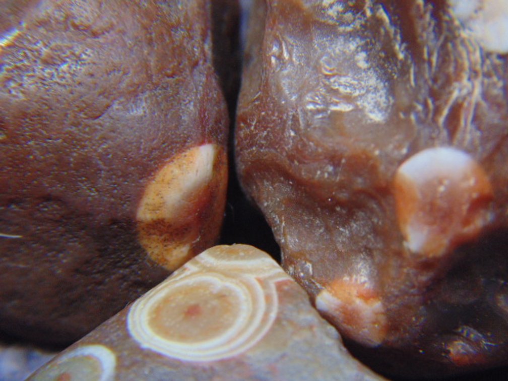 Three Lake Superior Eye Agates, 1.3 ozs
