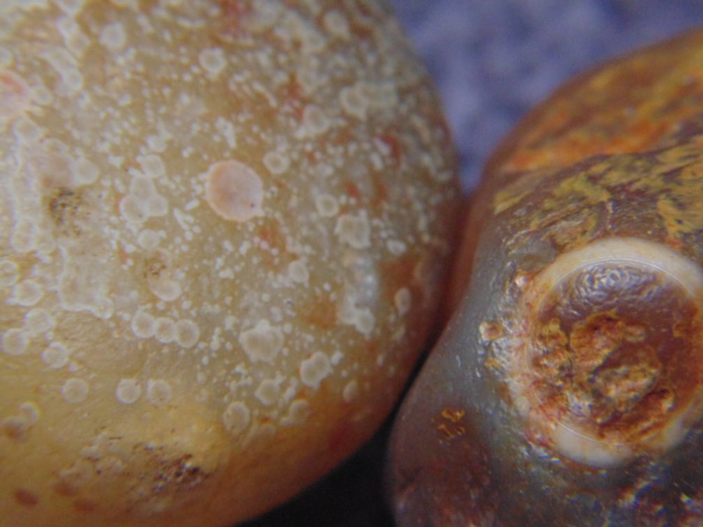 A pair of Lake Superior Eye Agates, 2.4 ozs