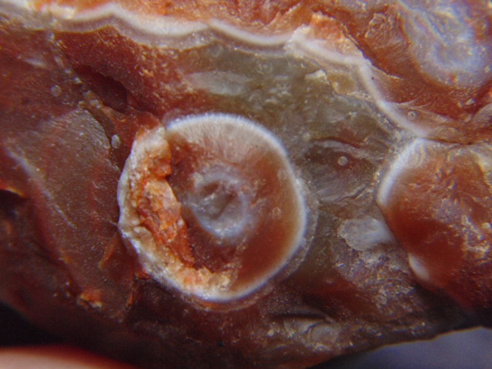 A 2.2 oz Lake Superior Agate with banding and a dominate eye