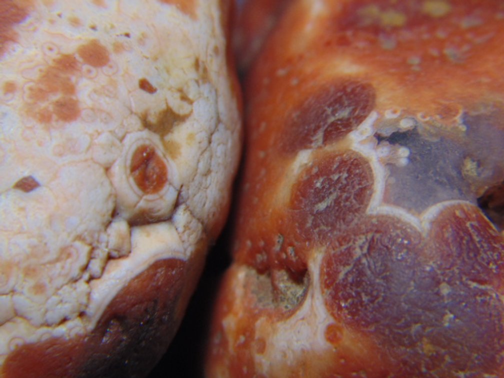 A pair of Lake Superior Agates with eyes, 4.1 ozs