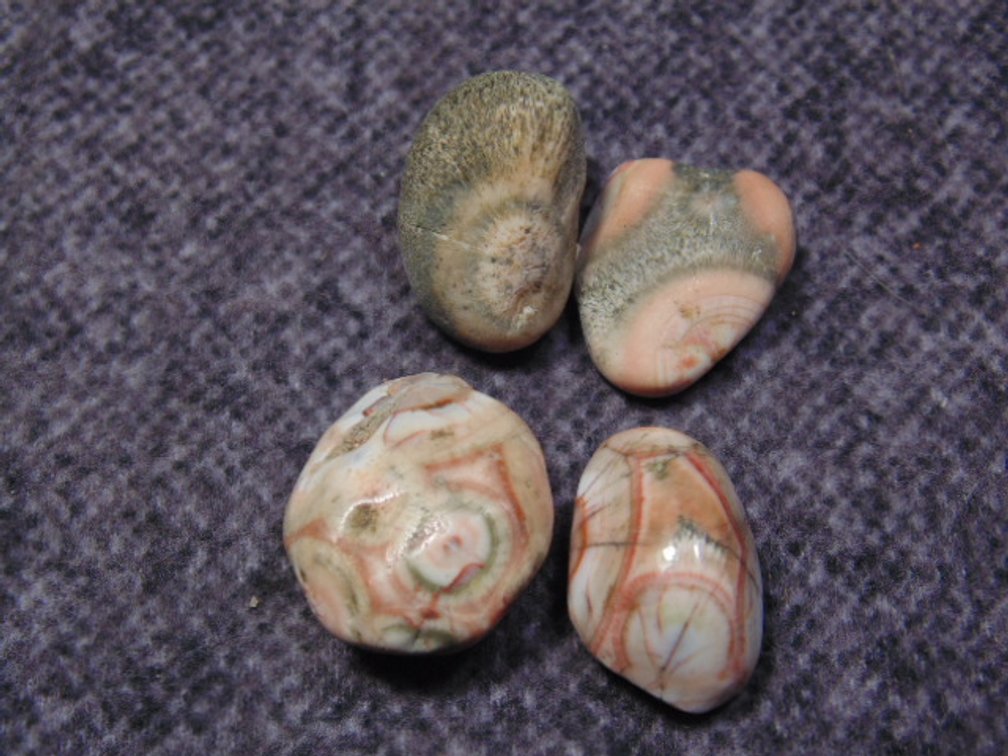 Four pieces of Thomsonite