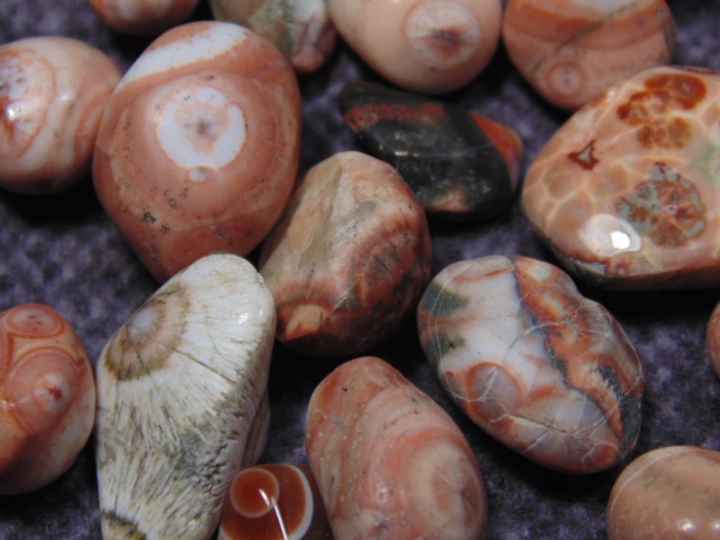Seventeen polished and rough Thomsonite nuggets and one polished Lake Superior Eye Agate
