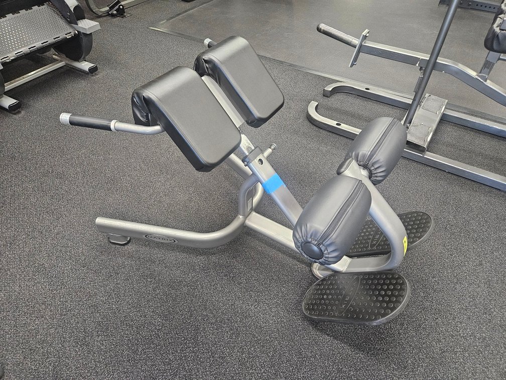 Matrix Back Extension Bench
