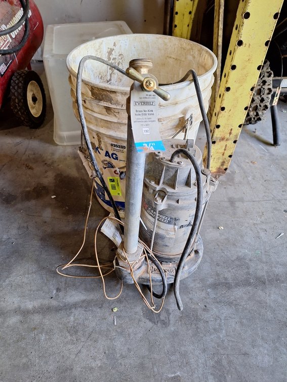 Campbell Hausfeld 1/3 HP Submersible Sump Pump with Perforated Bucket
