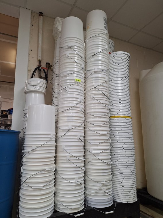 60 Food Grade 5 Gallon Buckets with Lids