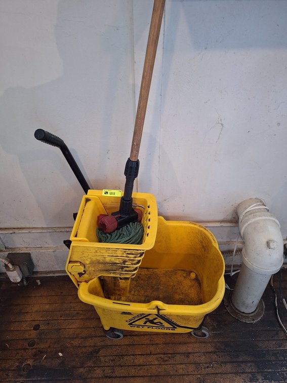 Mop Bucket with Wringer and Mop