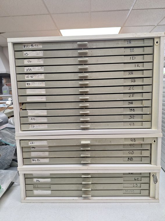 Assorted Vivodent Denture Teeth with Organizer