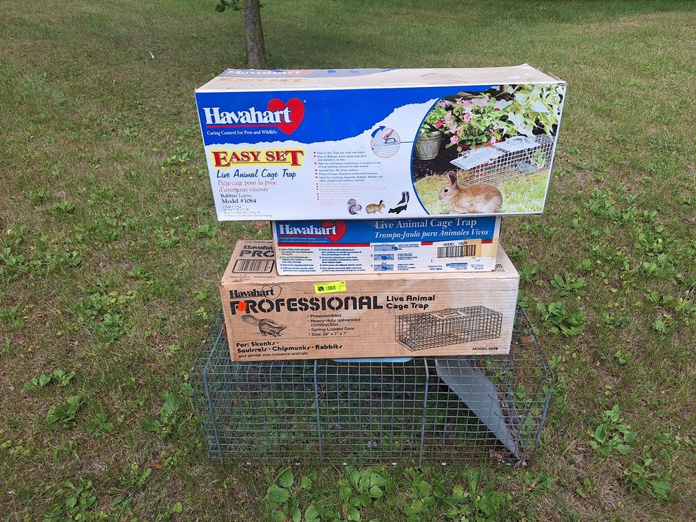 4 Assorted Live Traps