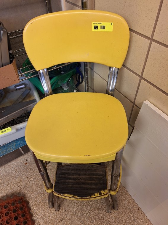 Vintage Costco Metal Step Stool