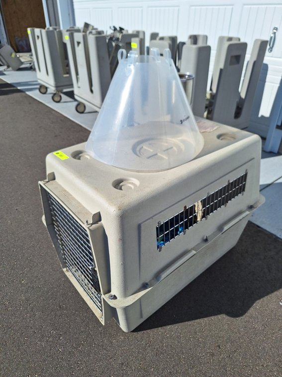 Dog Crate with Halo