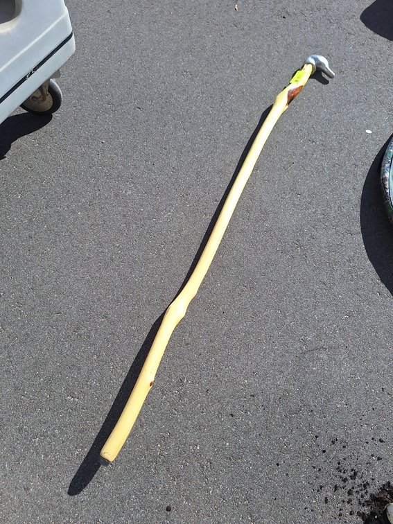 Walking Stick