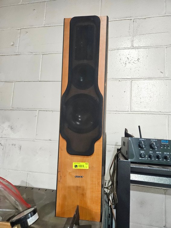 2 Sony Tower Speakers