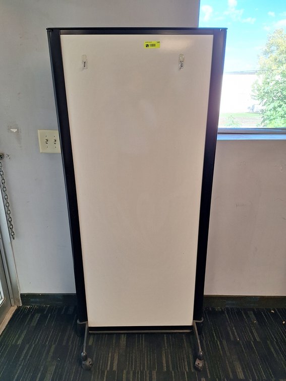Dry Erase/Pin Board on Wheels, 29"x66"