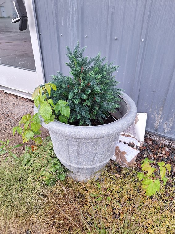 2 Poly Planters