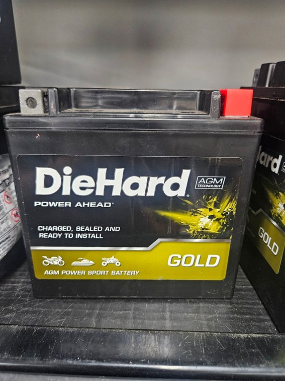 Die Hard Motorcycle/ATV Battery, TX14L