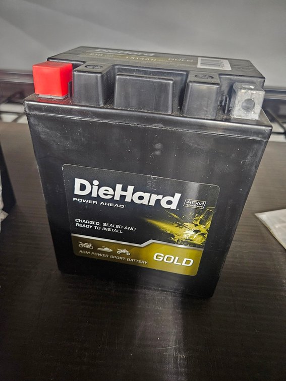 Die Hard Motorcycle/ATV Battery, TX14AH