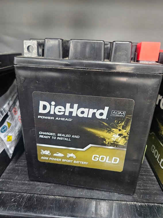 Die Hard Motorcycle/ATV Battery, TX14AHL