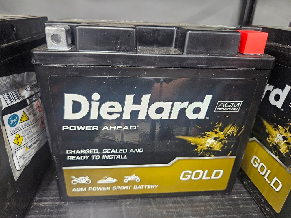 Die Hard Motorcycle/ATV Battery, T16L