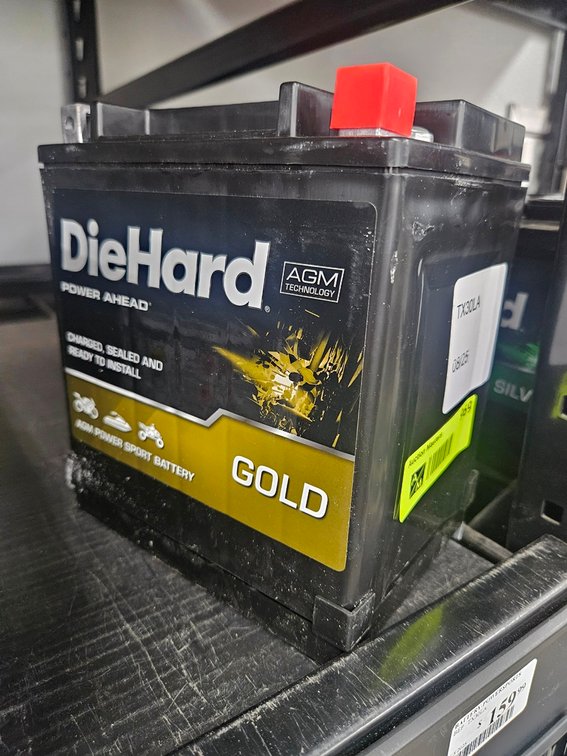 Die Hard Motorcycle/ATV Battery, TX30LA
