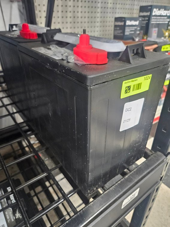 Die Hard Golf Cart Battery, GC2
