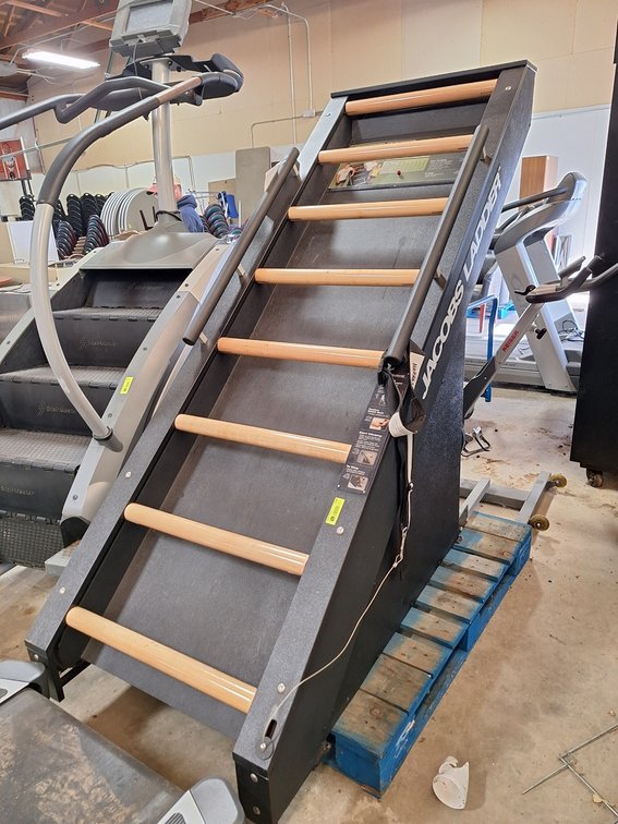 Jacobs Ladder Training Ladder