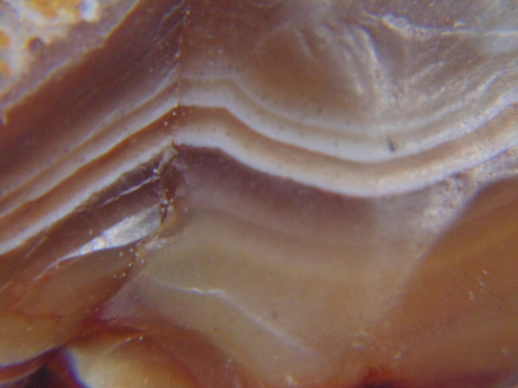 A .8 oz Lake Superior Agate with a nice banded face
