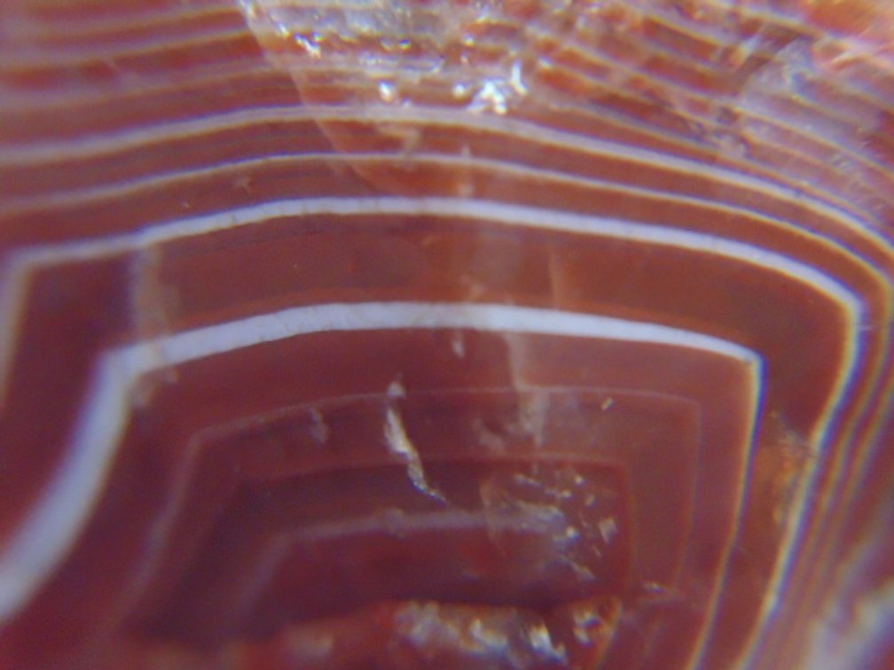 A .5 oz Lake Superior Agate that is full of bold white banding