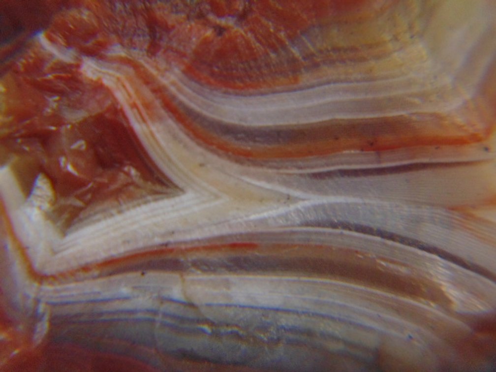 A 1.1 oz Lake Superior Agate full of wild banding