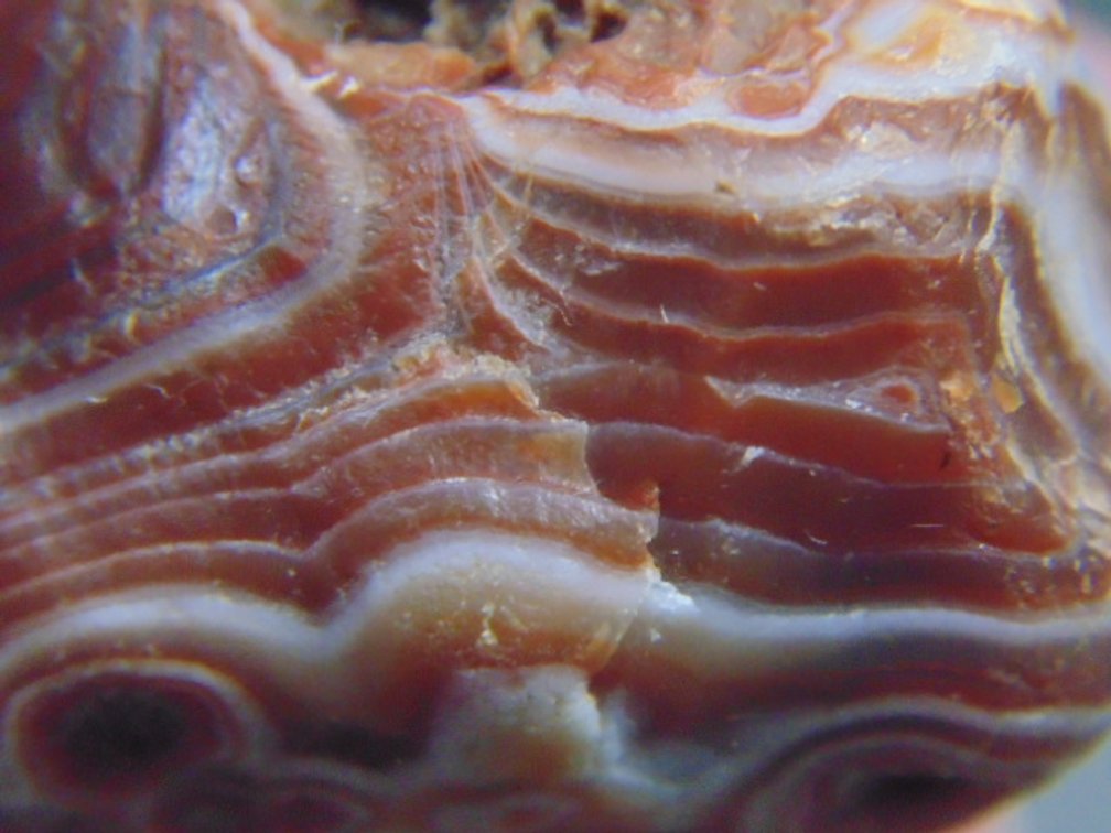 A .9 oz Lake Superior Agate with nice banding that wraps partially around the agate