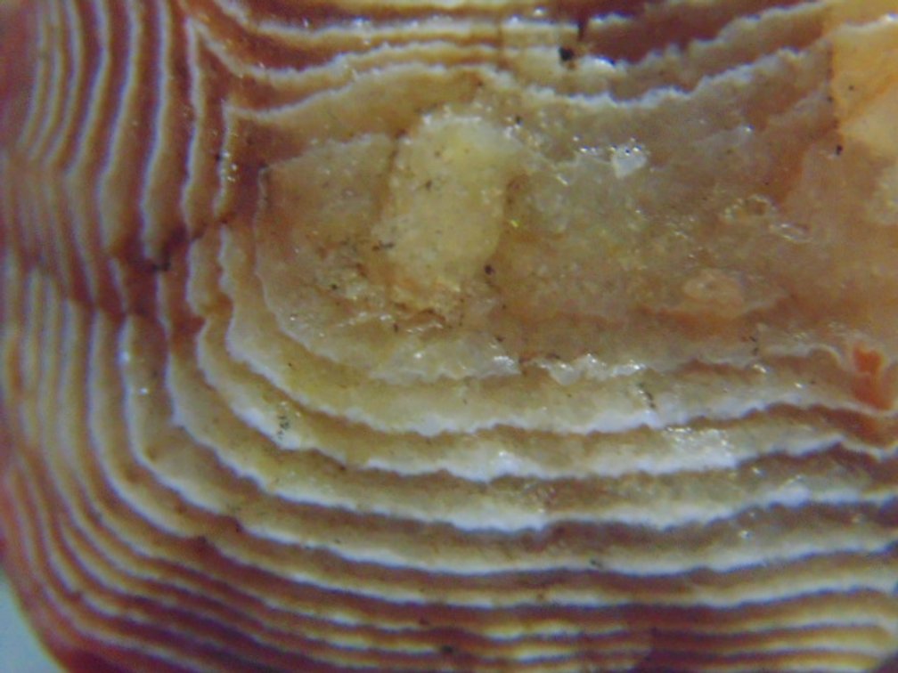 A 1.1 oz Lake Superior Agate with a nice full banded face