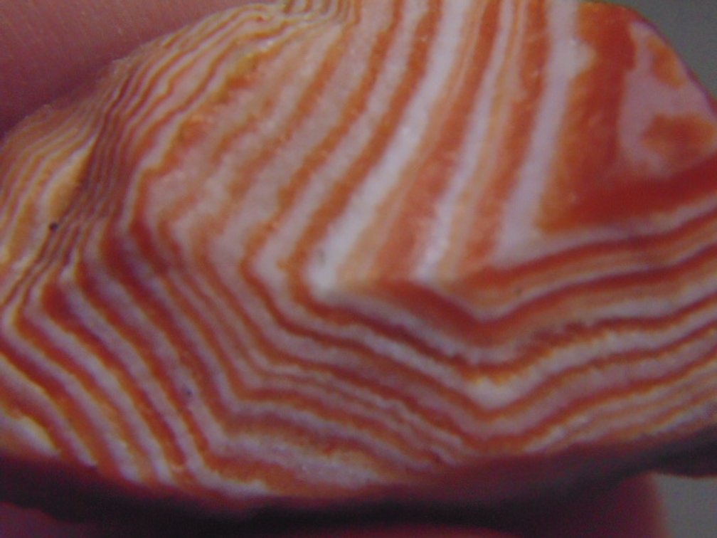 A .3 oz Lake Superior Agate that is completely covered in red and white banding