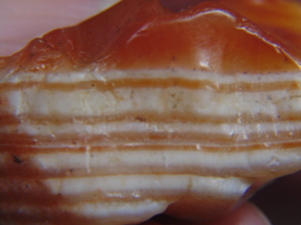 A .7 oz Lake Superior Agate with white and orange banding