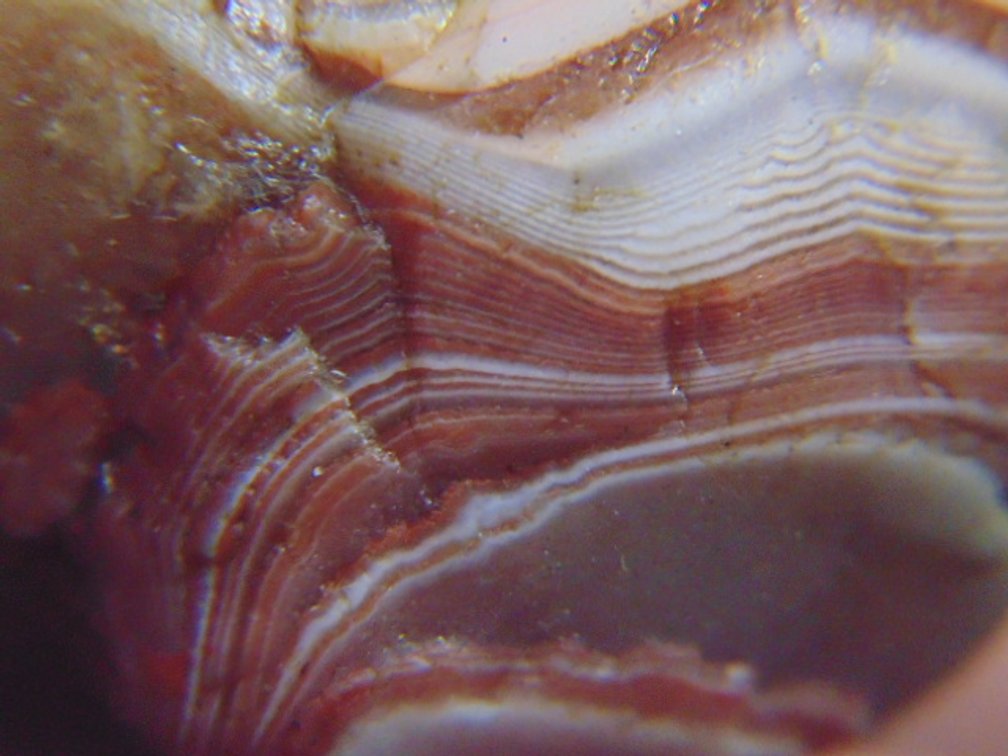 A .6 oz Lake Superior Agate full of nice banding