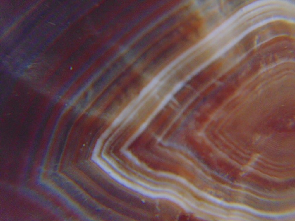 A .7 oz Lake Superior Agate that is full of nice banding