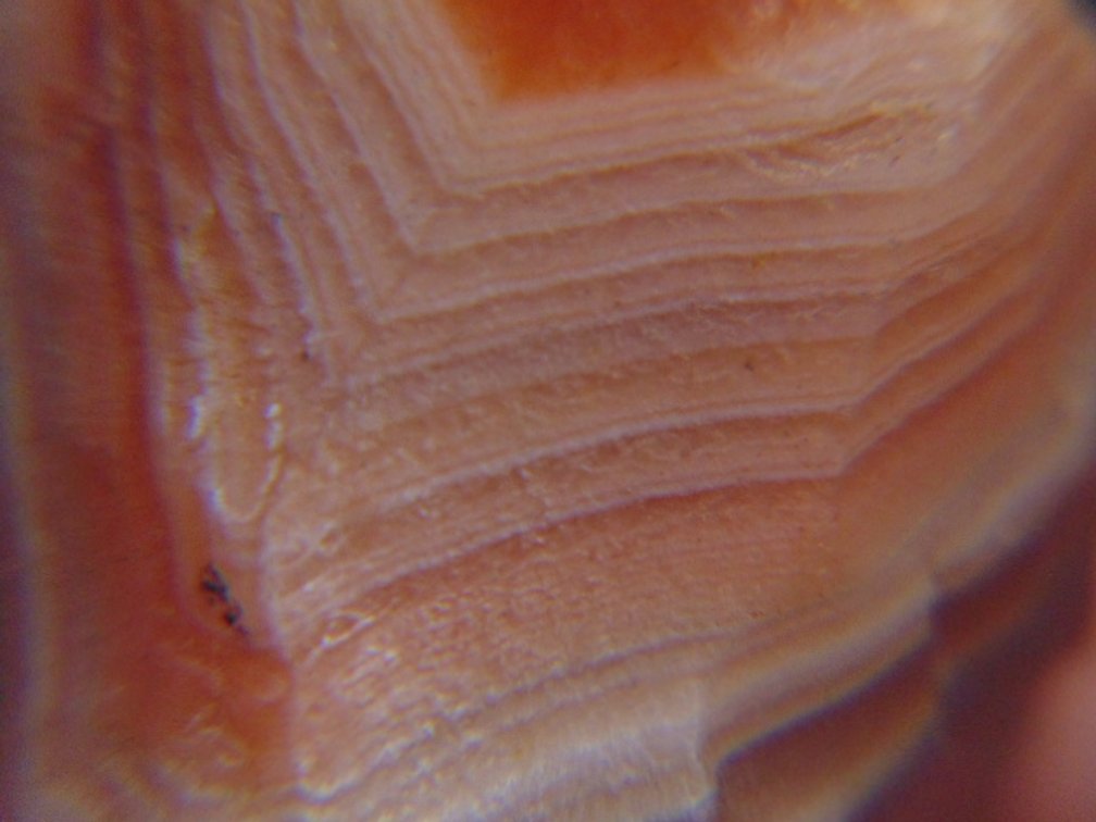 A .5 oz Lake Superior Agate that is full of nice banding. Just goes to show agates don't have to be big to be impressive