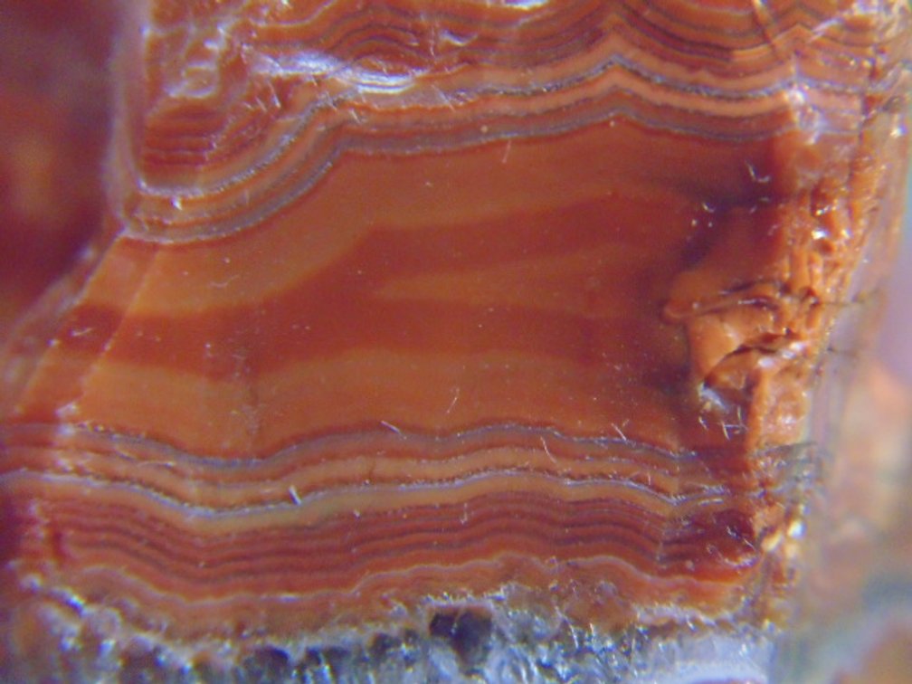 A 1.6 oz Lake Superior Agate with lots of solid orange banding through out the center of the agate along with some quartz  and more banding