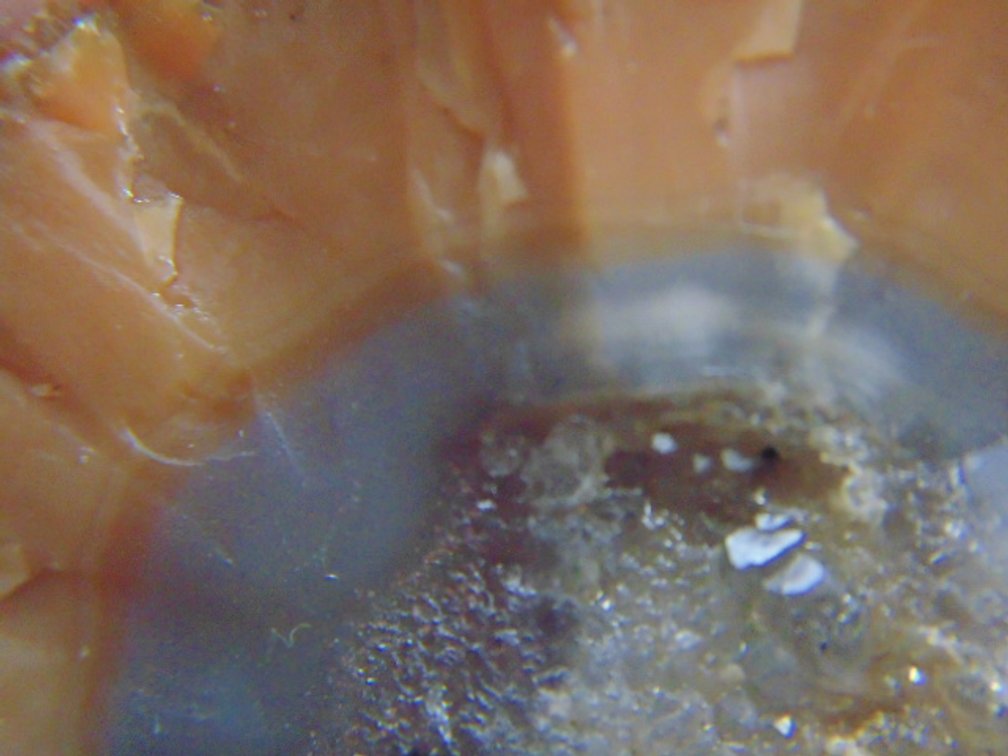 A 1.9 oz Lake Superior Agate with orange banding around a pocket of quartz crystals