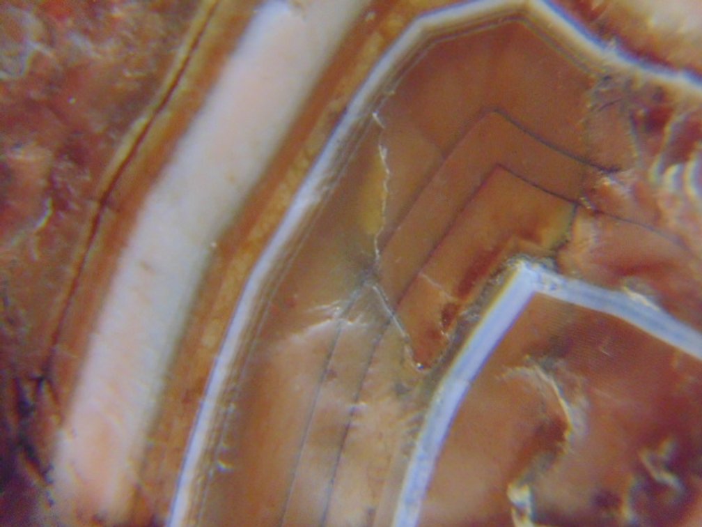 A .9 oz Lake Superior Agate with a nice bullseye banded face