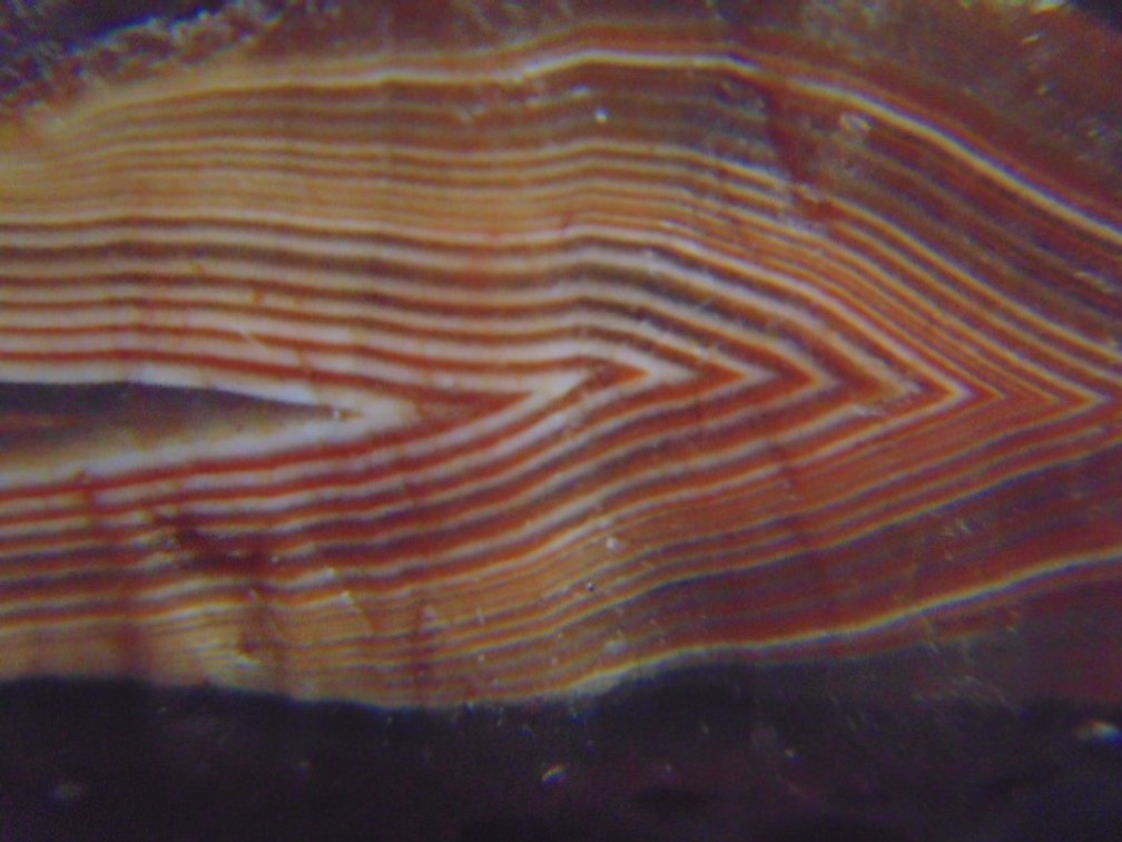 A 1.8 oz Lake Superior Agate that has a dark husk with nice red and white banding