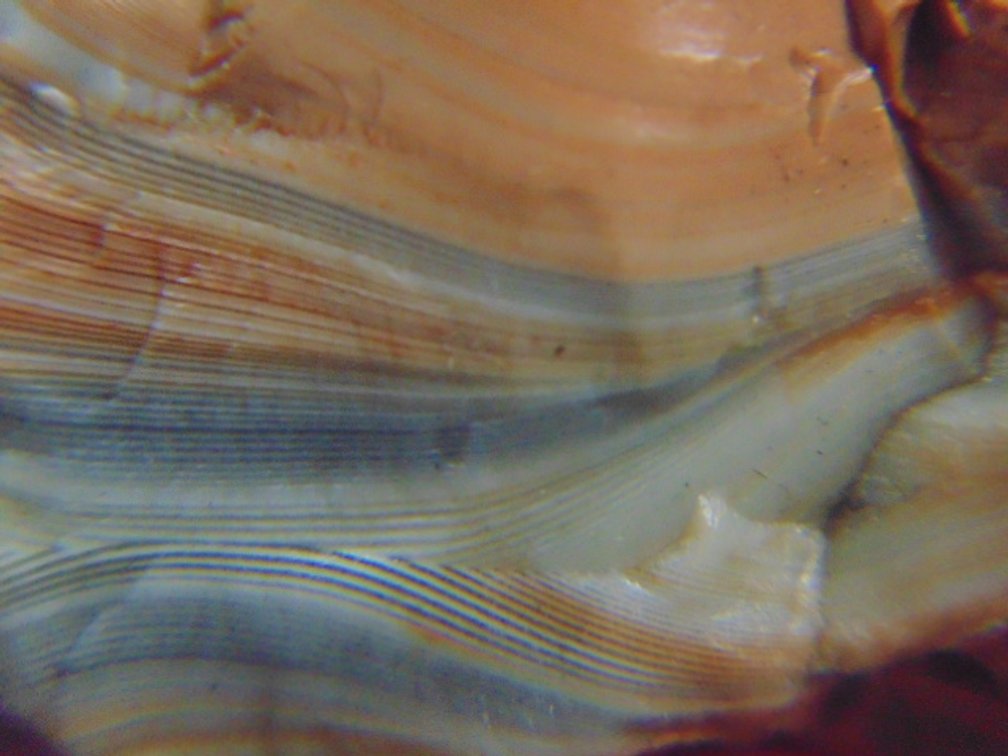 A 1.1 oz Lake Superior Paint Agate with grey and orange banding